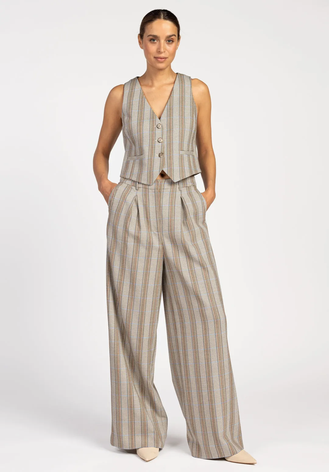 Charlize Pied Pants Stripe