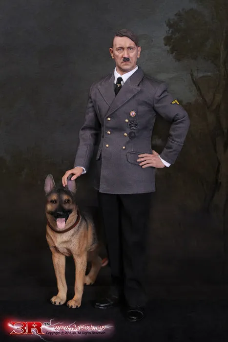 DID/3R - Adolf Hitler 1889-1945 Ver A - 1:6 Action Doll (GM640)   Bonus Head